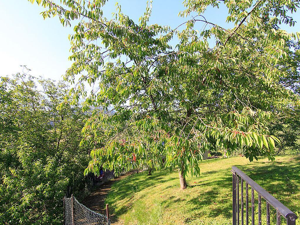 Apartamentos La Corona Llames de Parres ภายนอก รูปภาพ